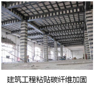 1559187249886963.jpg 555_03.jpg