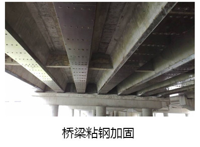 1559187250924533.jpg 555_04.jpg